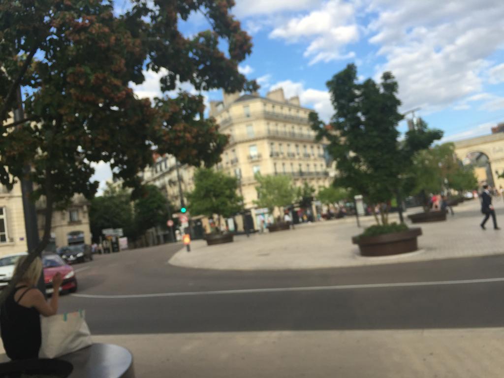 Appartement Idéal Art Déco Parking Privé Sécurisé Darcy Liberté Centre Gare-ville