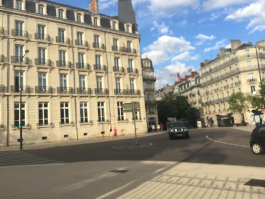 Appartement Idéal Art Déco Parking Privé Sécurisé Darcy Liberté Centre Gare-ville